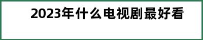 2023年什么电视剧最好看