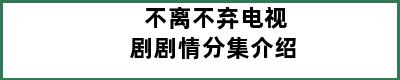 不离不弃电视剧剧情分集介绍