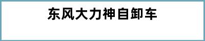 东风大力神自卸车