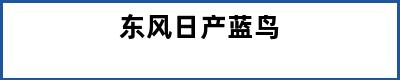 东风日产蓝鸟