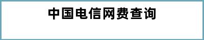 中国电信网费查询