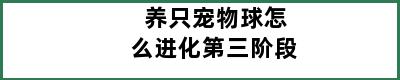 养只宠物球怎么进化第三阶段