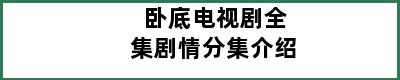 卧底电视剧全集剧情分集介绍