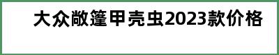 大众敞篷甲壳虫2023款价格