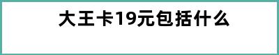 大王卡19元包括什么