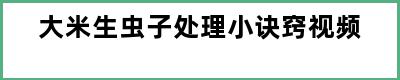 大米生虫子处理小诀窍视频