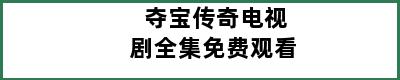 夺宝传奇电视剧全集免费观看