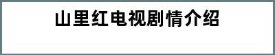 山里红电视剧情介绍