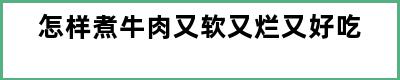 怎样煮牛肉又软又烂又好吃