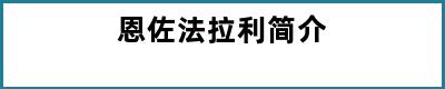 恩佐法拉利简介