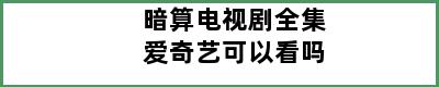 暗算电视剧全集爱奇艺可以看吗