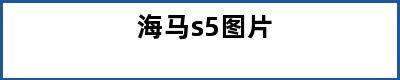 海马s5图片