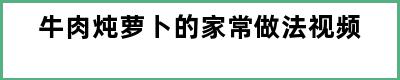 牛肉炖萝卜的家常做法视频