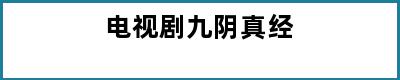 电视剧九阴真经