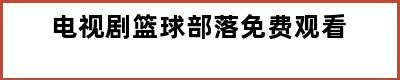 电视剧篮球部落免费观看