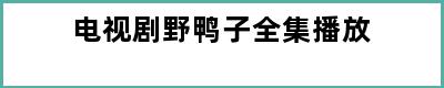 电视剧野鸭子全集播放