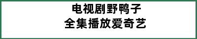 电视剧野鸭子全集播放爱奇艺