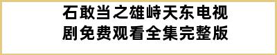 石敢当之雄峙天东电视剧免费观看全集完整版