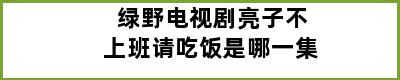 绿野电视剧亮子不上班请吃饭是哪一集