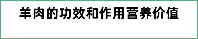 羊肉的功效和作用营养价值