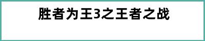 胜者为王3之王者之战