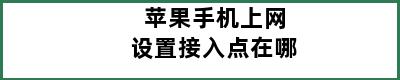 苹果手机上网设置接入点在哪