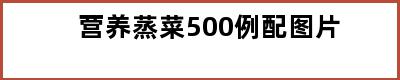 营养蒸菜500例配图片