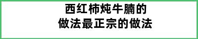 西红柿炖牛腩的做法最正宗的做法