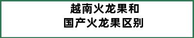 越南火龙果和国产火龙果区别