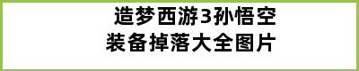 造梦西游3孙悟空装备掉落大全图片