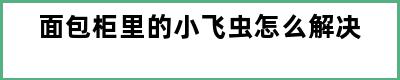 面包柜里的小飞虫怎么解决